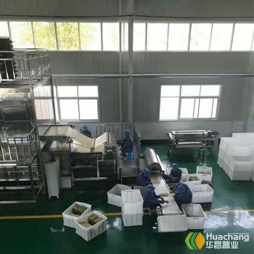 三门峡华昌引进星空官方网页版
粉丝粉条加工设备