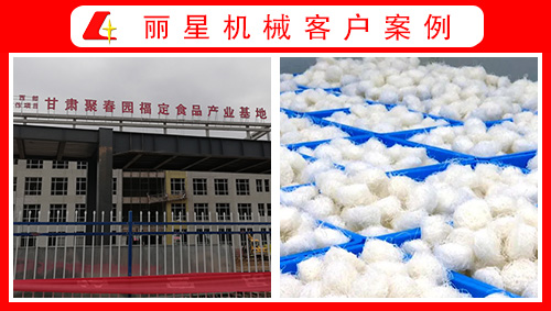 甘肃聚春园引进星空官方网页版
水晶粉丝生产线、酸辣粉加工设备正式投产