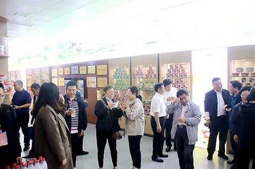 市委退休干部视察星空官方网页版
