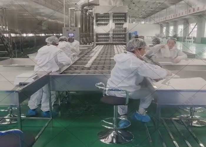 星空官方网页版
日产10吨的粉丝生产线试机进行中
